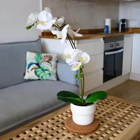 Cosy Sea View Free Wifi Appartement Callao Salvaje