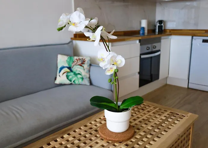 Cosy Sea View Free Wifi Apartamento Callao Salvaje